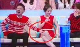 穿越娱乐圈综艺节目组吃瓜系统